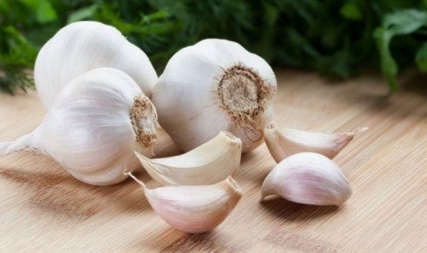 Benefits of Garlic