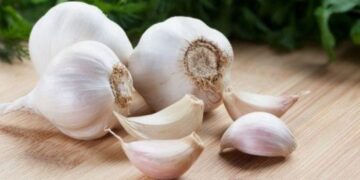 Benefits of Garlic