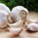 Benefits of Garlic