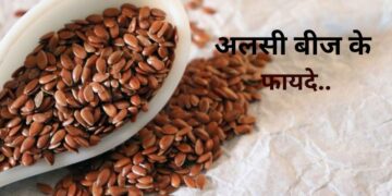 Flax Seeds Benefits