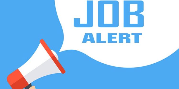 DSSSB Vacancy 2024