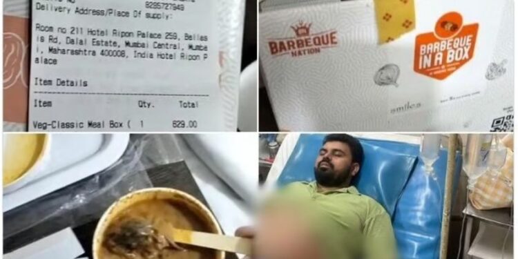 BBQ Nation News
