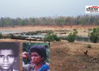 Chhattisgarh, Police, Surgical Strike