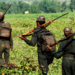Naxals Encounter: Police gets big success in Chhattisgarh, 18 Naxalites killed in encounter with Bastar security forces