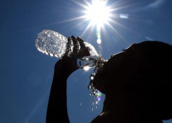 Weather News: आगामी 5 दिनों में भीषण गर्मी के आसार, तापमान 40 डिग्री से ऊपर जाने की संभावना, मौसम विभाग (IMD) ने जारी किया अलर्ट