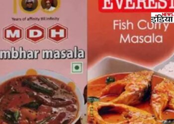 Masala Banned