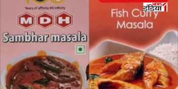 Masala Banned