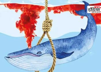 Online Game, Blue Whale