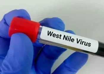 West Nile Fever