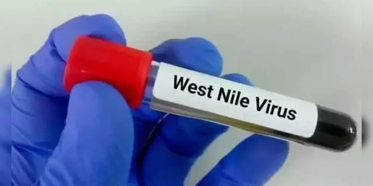 West Nile Fever