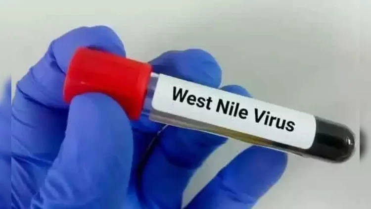 West Nile Fever