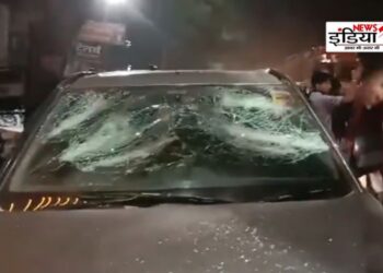 Lok Sabha Election 2024, Congress, Amethi