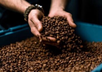 Indian Coffee Export : इंडिया की कॉफ़ी के दीवाने हुए दुनिया भर के लोग,निर्यात के आँकड़े देख हो जाएँगे हैरान