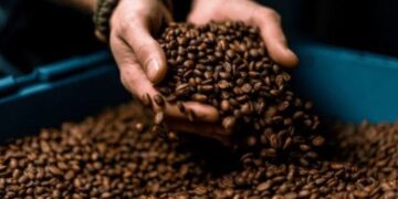 Indian Coffee Export : इंडिया की कॉफ़ी के दीवाने हुए दुनिया भर के लोग,निर्यात के आँकड़े देख हो जाएँगे हैरान