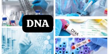 DNA test for plane crash victims in India