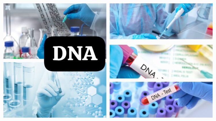 DNA test for plane crash victims in India