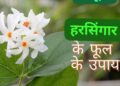 Spiritual Remedies, Vastu and Astrology