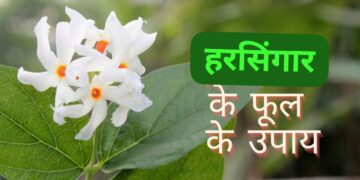 Spiritual Remedies, Vastu and Astrology