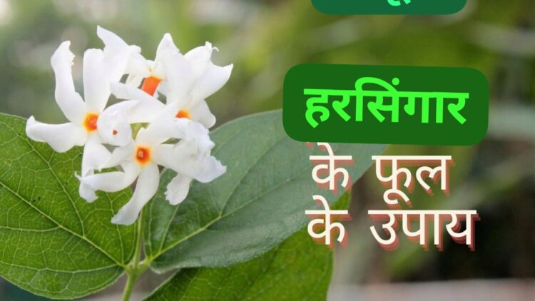 Spiritual Remedies, Vastu and Astrology