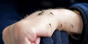 Why mosquitoes bite some people more than others