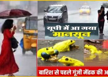  ‘गजब’ यहां एकाएक मेढ़क करने लगे टर्र-टर्र, जानें मौसम विभाग को क्यों जारी करना पड़ा ये अलर्ट