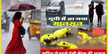 ‘गजब’ यहां एकाएक मेढ़क करने लगे टर्र-टर्र, जानें मौसम विभाग को क्यों जारी करना पड़ा ये अलर्ट