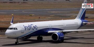 IndiGo Flight