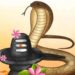 Nag Panchami 2025 Date Significance and Worship Method
