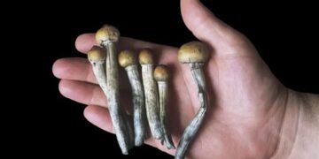 psilocybin relieves depression in cancer patients