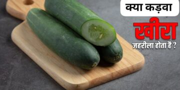 bitter cucumber health risks