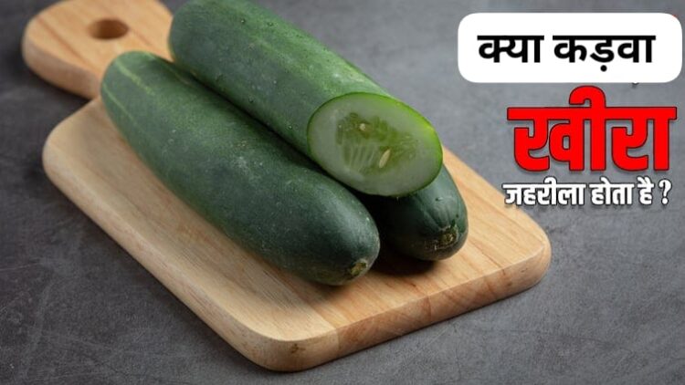 bitter cucumber health risks