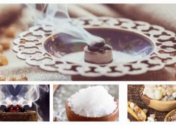 किनको मिलाकर जलाने से बैक्टीरिया के साथ साथ दूर होगी निगेटिविटी भी, जानिए शुद्ध हवा और सकारात्मक माहौल का राज