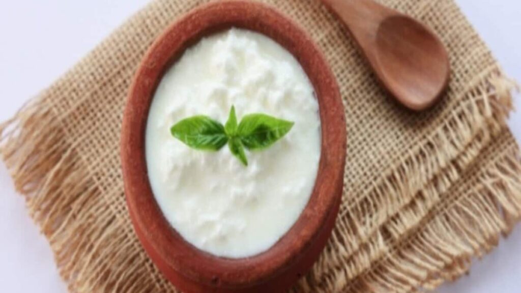 Is eating curd safe during monsoon season