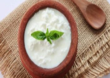 Is eating curd safe during monsoon season
