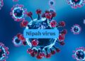 Nipah Virus : केरल में फिर फैला कौन सा वायरस, स्वास्थ्य विभाग ने जारी किया अलर्ट क्या कोरोना की होगी वापसी
