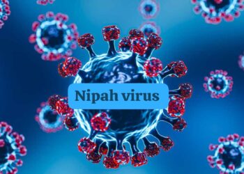 Nipah Virus : केरल में फिर फैला कौन सा वायरस, स्वास्थ्य विभाग ने जारी किया अलर्ट क्या कोरोना की होगी वापसी