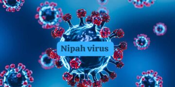 Nipah Virus : केरल में फिर फैला कौन सा वायरस, स्वास्थ्य विभाग ने जारी किया अलर्ट क्या कोरोना की होगी वापसी
