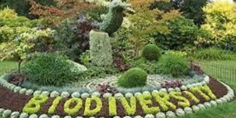Gomti Biodiversity Park Lucknow