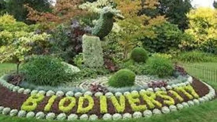 Gomti Biodiversity Park Lucknow