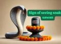 Sawan snake meaning in Hinduism