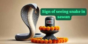 Sawan snake meaning in Hinduism