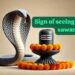 Sawan snake meaning in Hinduism