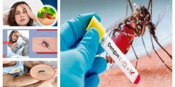 dengue symptoms and treatment during monsoon season health tips and awareness