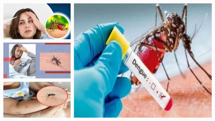 dengue symptoms and treatment during monsoon season health tips and awareness