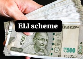 employment linked incentive scheme 2025 for first job youth and company benefits