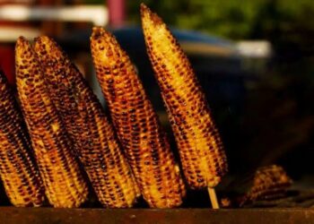 Health news : बारिश में भुट्टा खाना क्यों है फ़ायदेमंद? जानिए इसकी सेहत से जुड़ी ख़ास बातें