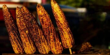 Health news : बारिश में भुट्टा खाना क्यों है फ़ायदेमंद? जानिए इसकी सेहत से जुड़ी ख़ास बातें