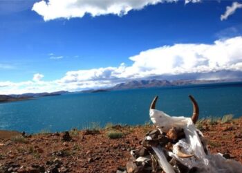 Religious news: कैलाश पर्वत के पास स्थित इस रहस्यमयी झील को क्यों माना जाता है अशुभ और ख़तरनाक