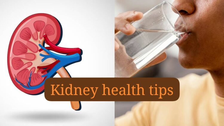 water intake and kidney health tips