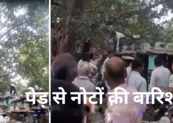 Auraiya News: औरैया में अचानक हुई रुपयों की बारिश पेड़ से गिरे नोट, लोग लूटने दौड़े पड़े